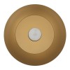 HEMISPHERE super gold S 10616 Nowodvorski Lighting