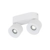 SPARK CCT white II 18171 TK Lighting