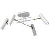 AXION white-gold IV 341 Luminex