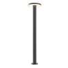WALD graphite O420FL-L12GF1 Maytoni