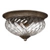 PLANTATION bronze HK-PLANT-F-L-PZ Hinkley Lighting