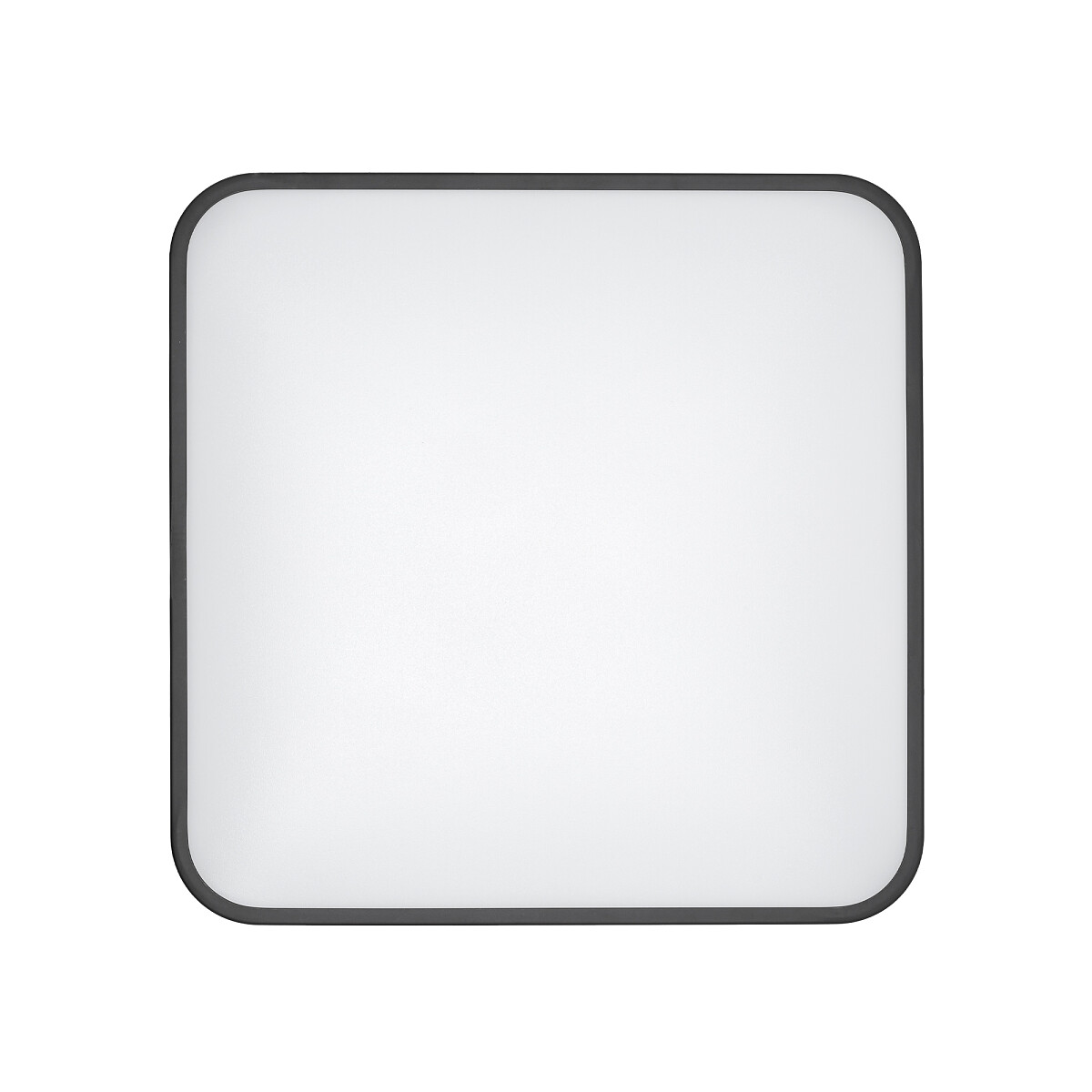 AGNES SQUARE LED PRO black M 4000K 10986 Nowodvorski Lighting