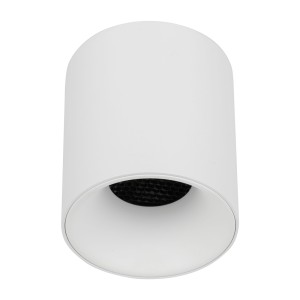 BLAZE CCT white 18157 TK Lighting