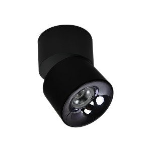 BREMA black CCT LP-2626/1RM BK movable Light Prestige