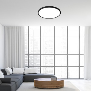CALIFORNIA 40 CCT LP-2505/1C-40 BK Light Prestige