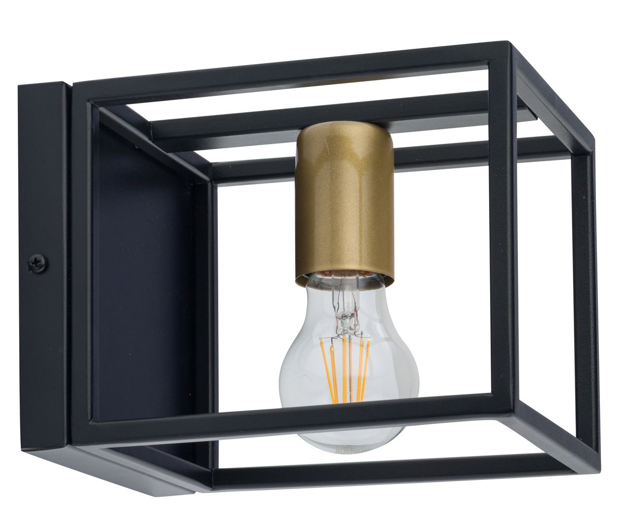 VIGO black-gold 32227 Sigma